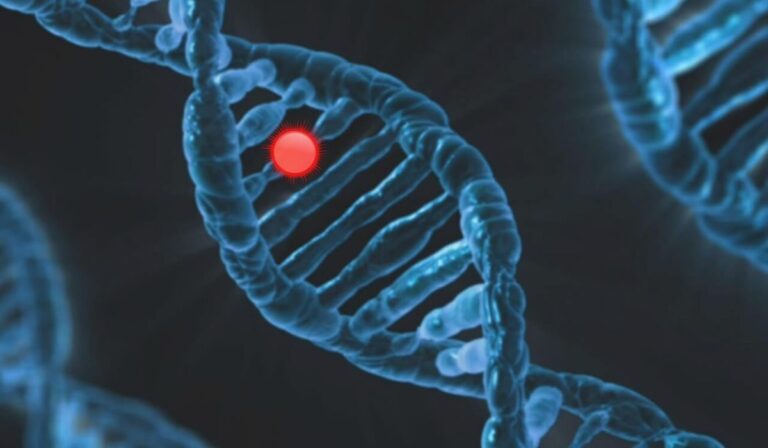 Understanding MTHFR Mutation 1