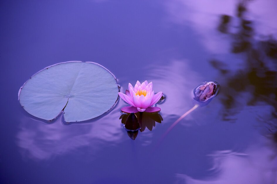 Mindful Meditation: A Practical Guide to Reduce Stress, Enhance Mental Clarity, and Improve Well-being